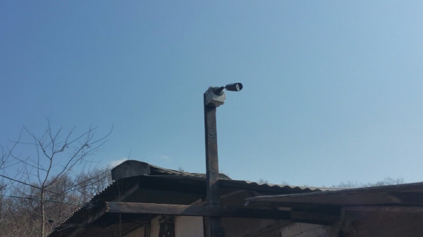 양평  1농장11.jpg