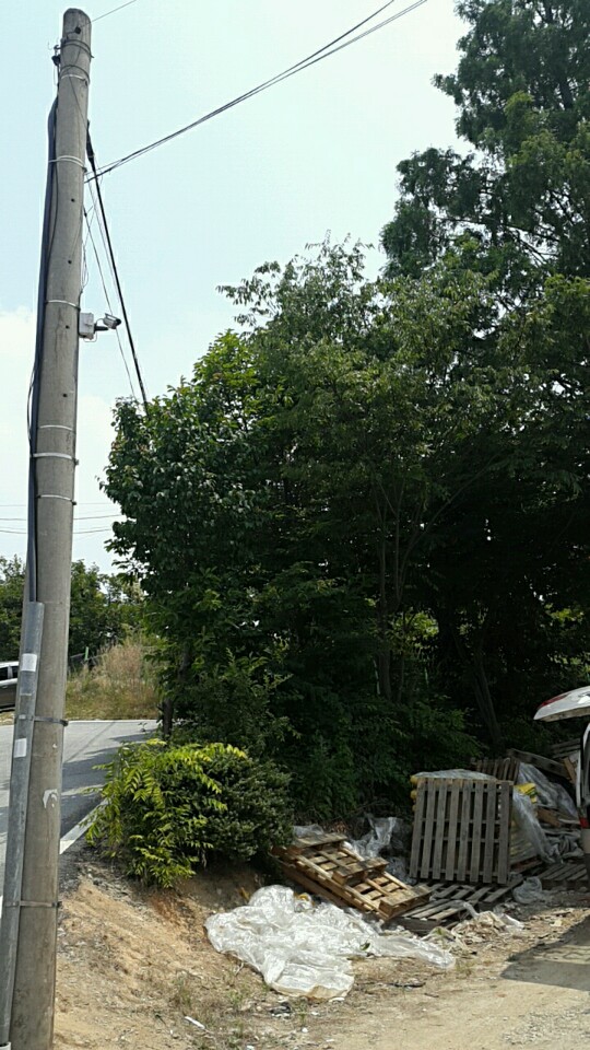 KakaoTalk_20160610_202550634.jpg