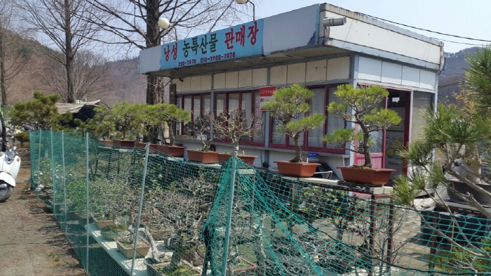 청주2.jpg