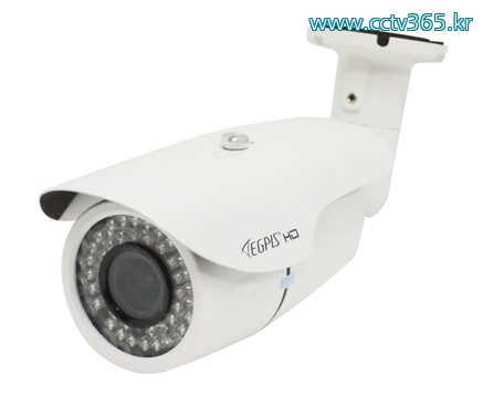이지피스 EGPIS-IP2148HDBVIR(POE).jpg