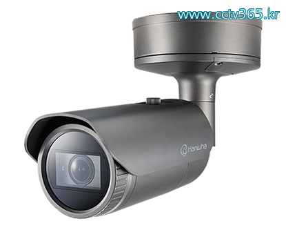 TNO-6081RLP.png